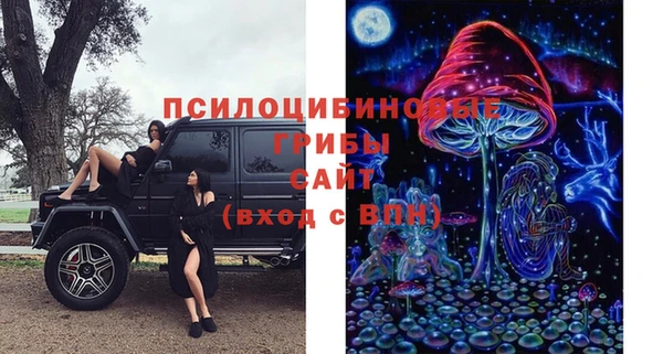a pvp Алексеевка