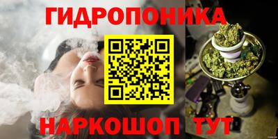ГАЛЛЮЦИНОГЕННЫЕ ГРИБЫ Кулебаки