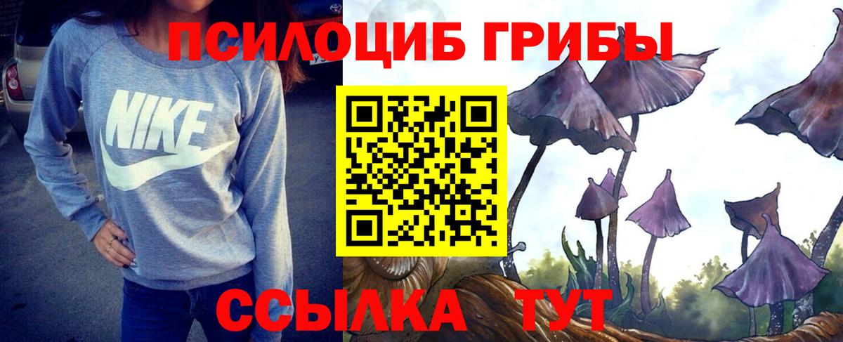 Сарапул  Псилоцибиновые грибы GOLDEN TEACHER  Вход с VPN  Галлюциногенные грибы мицелий 