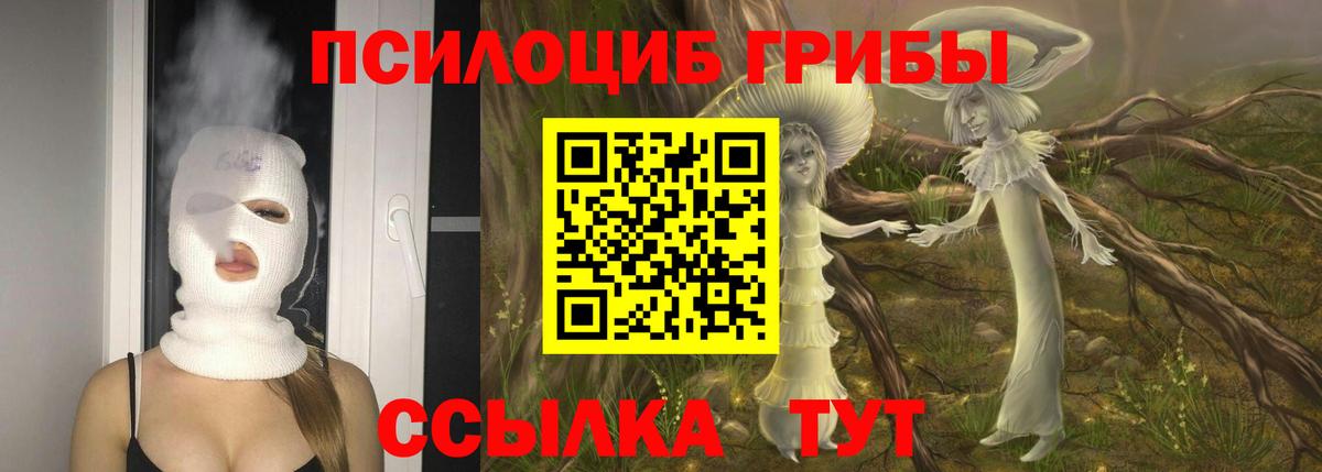 Галлюциногенные грибы Psilocybe Сарапул